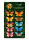 Butterflies & Buttercups Pop up Flower Card